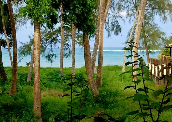 The Pool House & The Colobus House, Bella Seaview, Diani Beach, Kenya